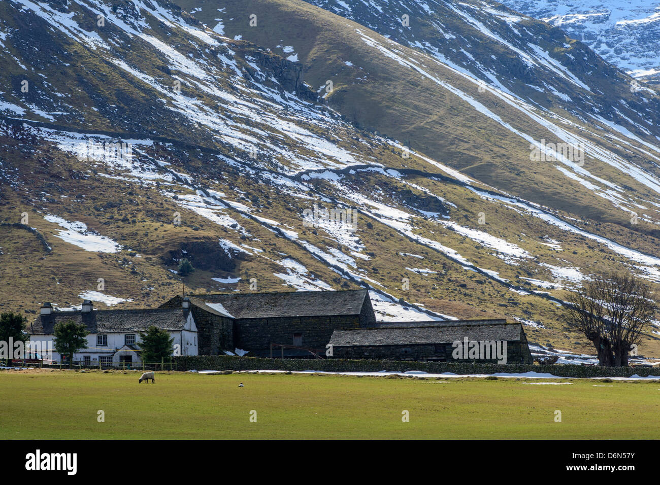 Farm at the head of the Great Langdale Valley in early April, Cumbria, England Stock Photo