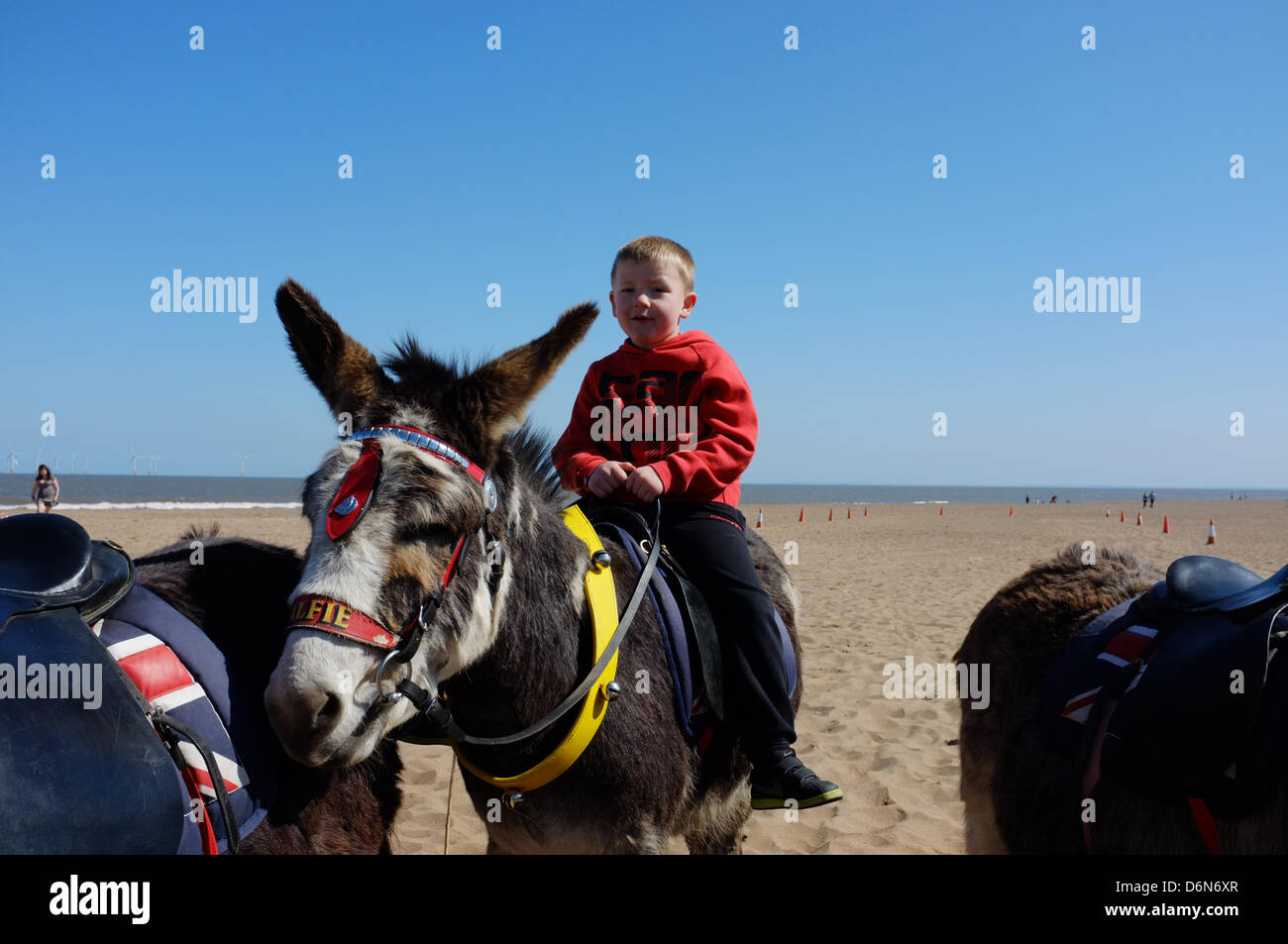 Donkey rides on the beach at Skegness - Saturday April 20th 2013 Stock Photo