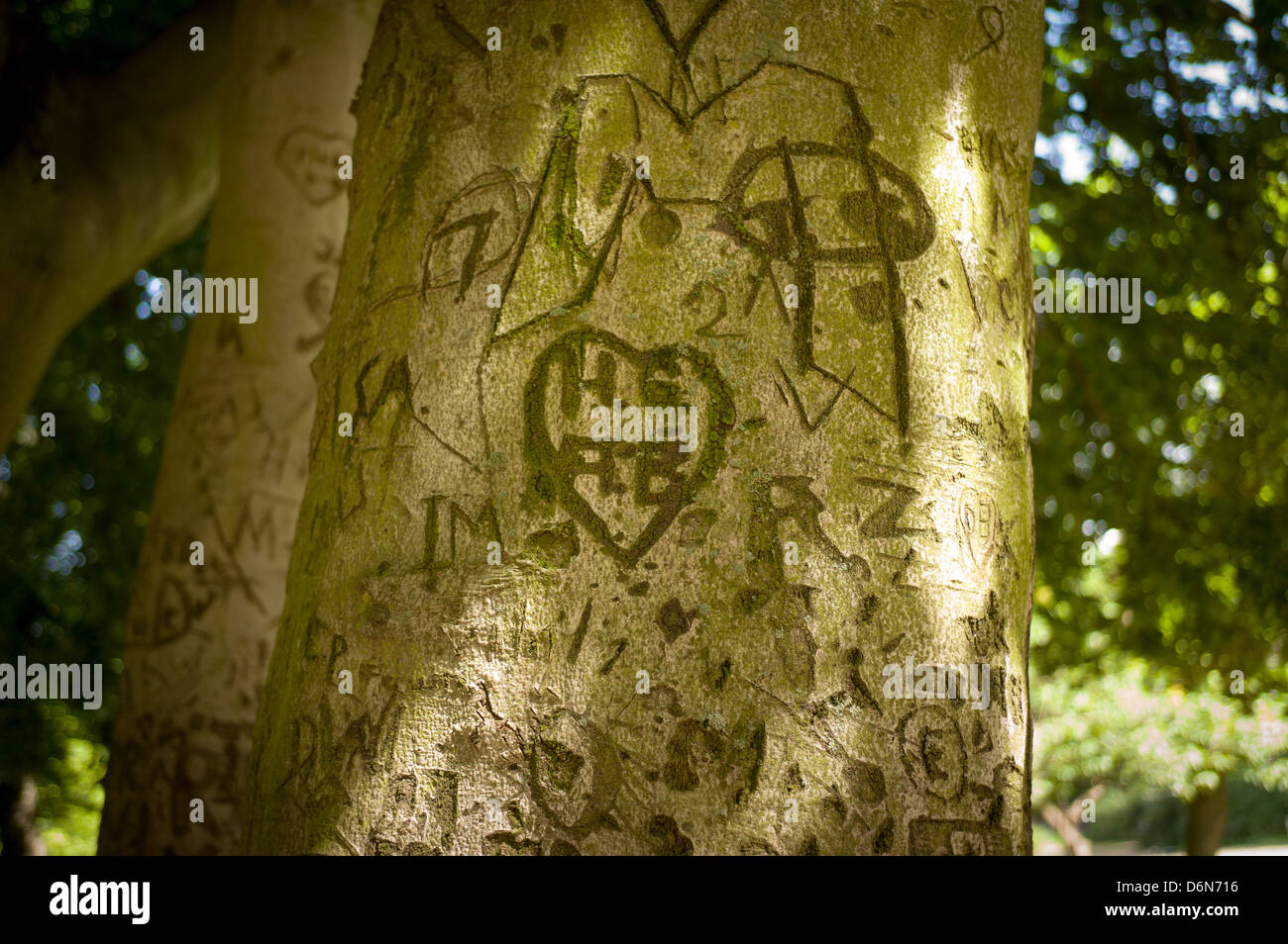 Berlin, Germany, carved into a tree hearts and initials Stock Photo