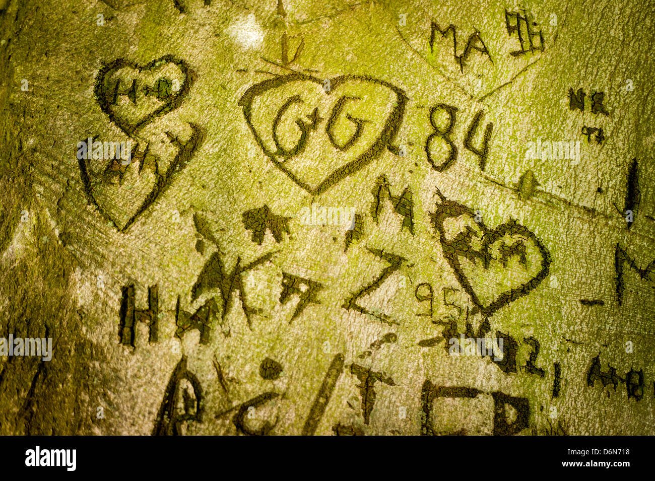 Berlin, Germany, carved into a tree hearts and initials Stock Photo