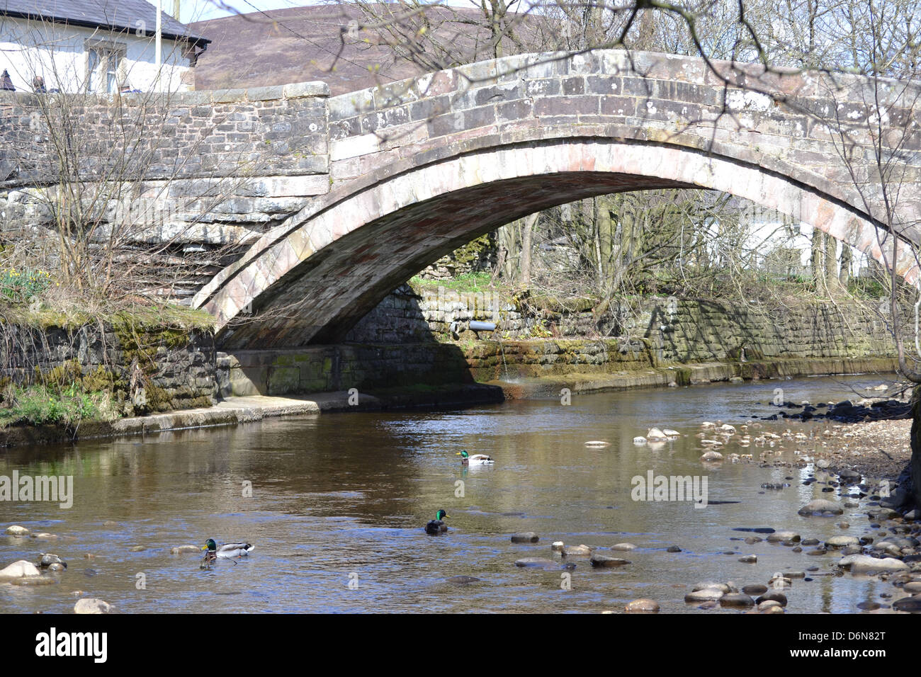 Dunsop Bridge Ribble Valley Lancashire Stock Photo Alamy