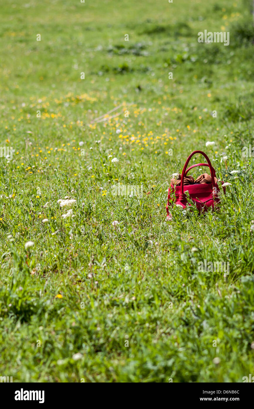 Pfeiffhausen, Germany, red ladies handbag in a high meadow Stock Photo