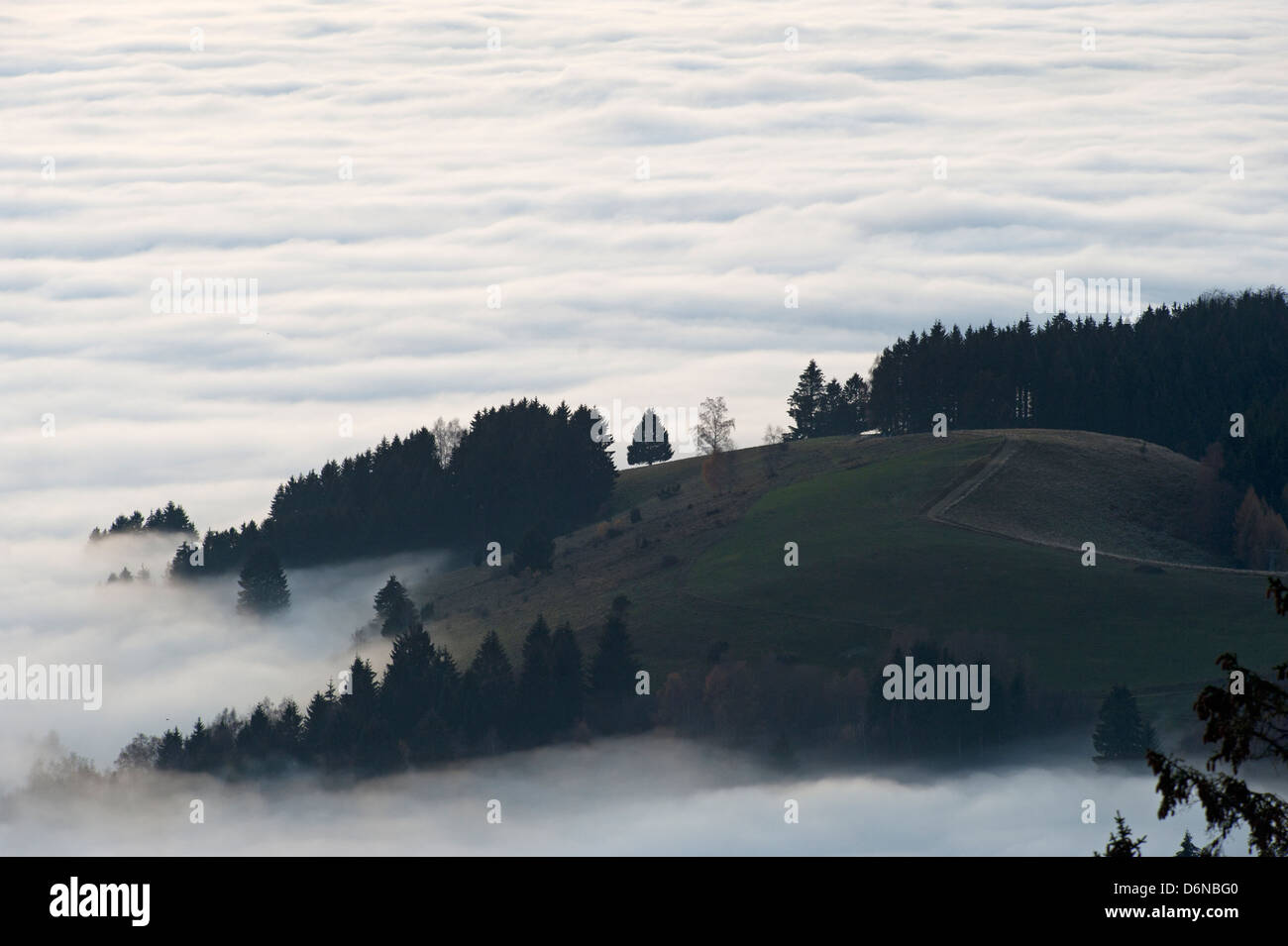 Germany, Freiburg im Breisgau valley between black forest mountains Stock  Photo - Alamy