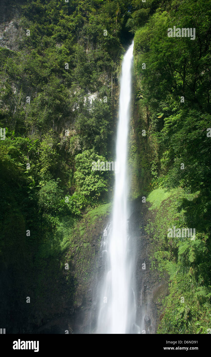 Pont Casse, Dominica, the Middleham Falls in the rainforest Stock Photo