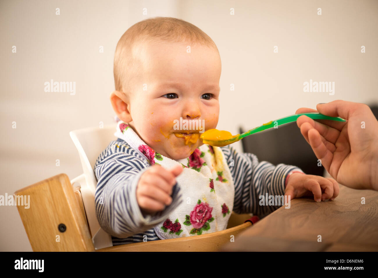 Berlin, Germany, 8-month-old baby while Fuettern Stock Photo