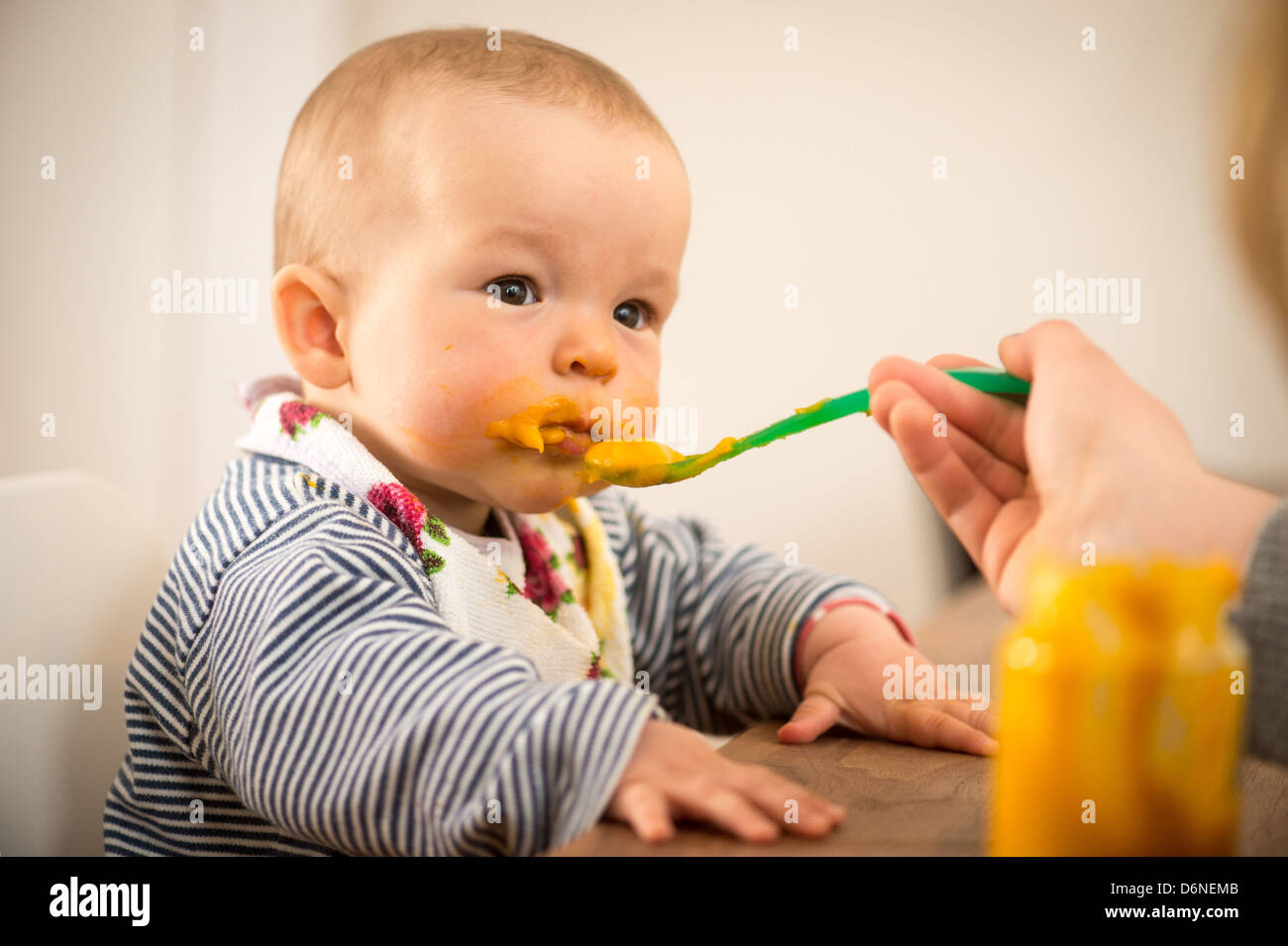 Berlin, Germany, 8-month-old baby while Fuettern Stock Photo