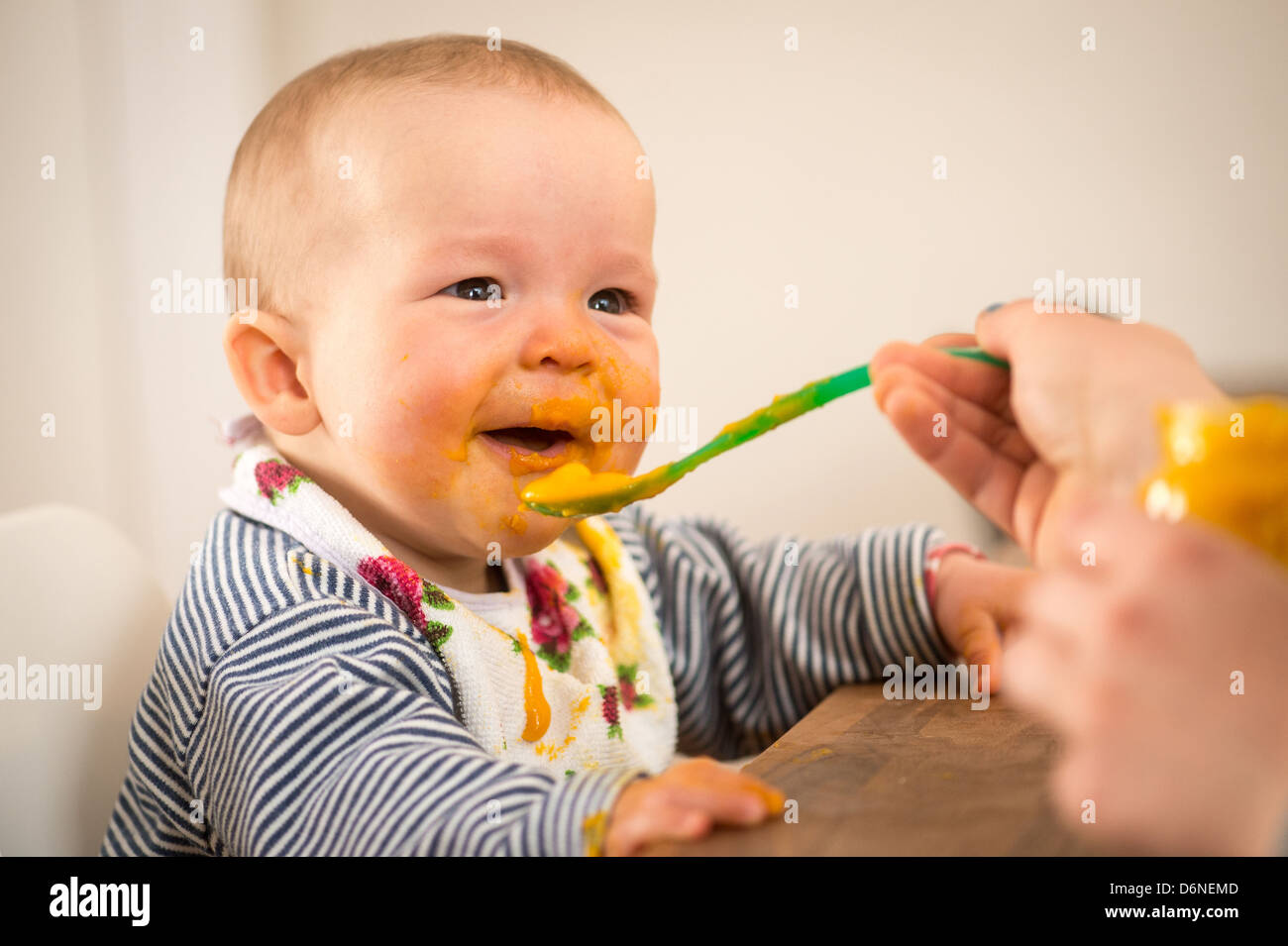 Berlin, Germany, 8-month-old baby while Fuettern Stock Photo