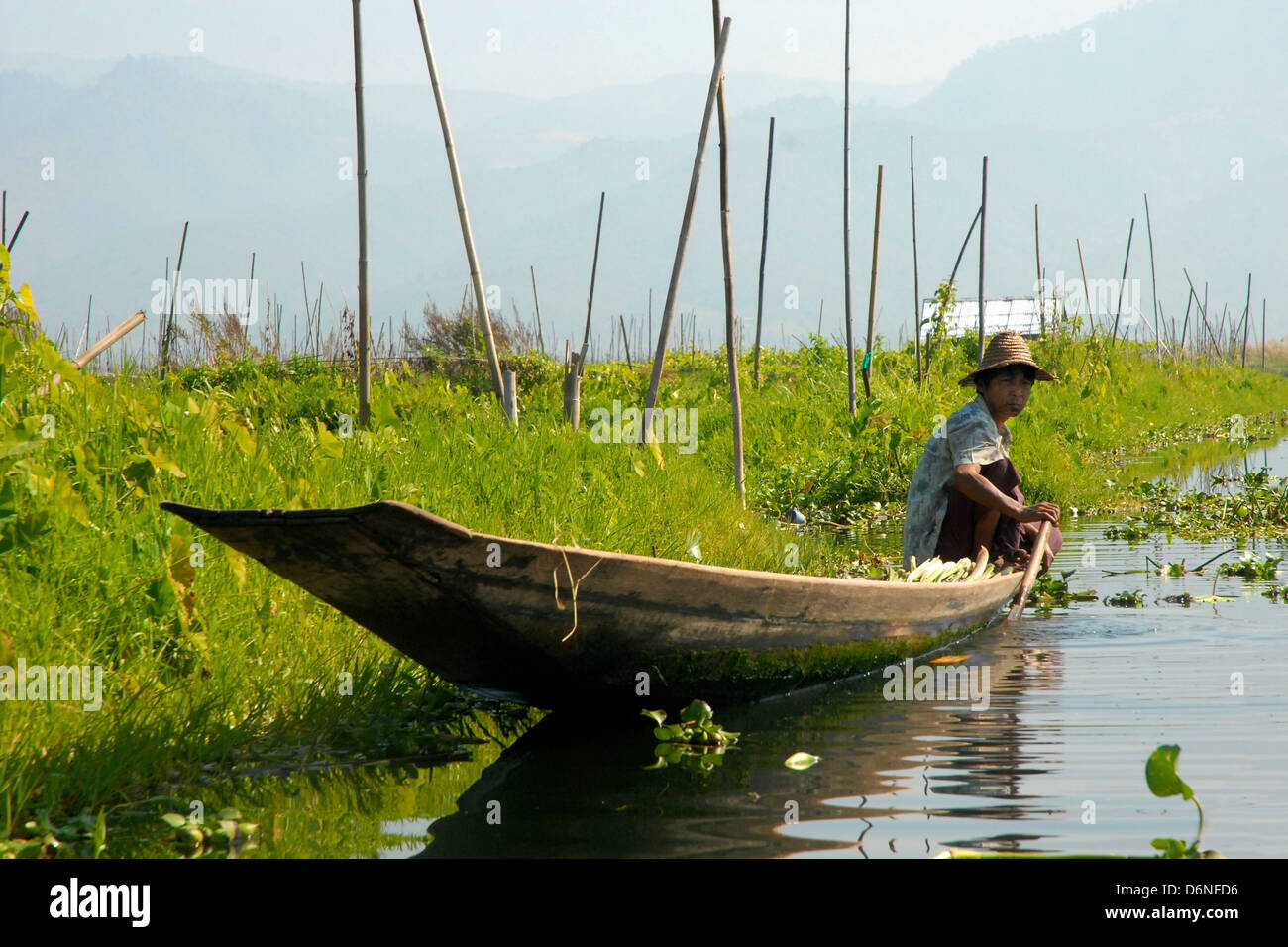 Gardener coming back from his floating garden by boat on Inle lake Stock Photo