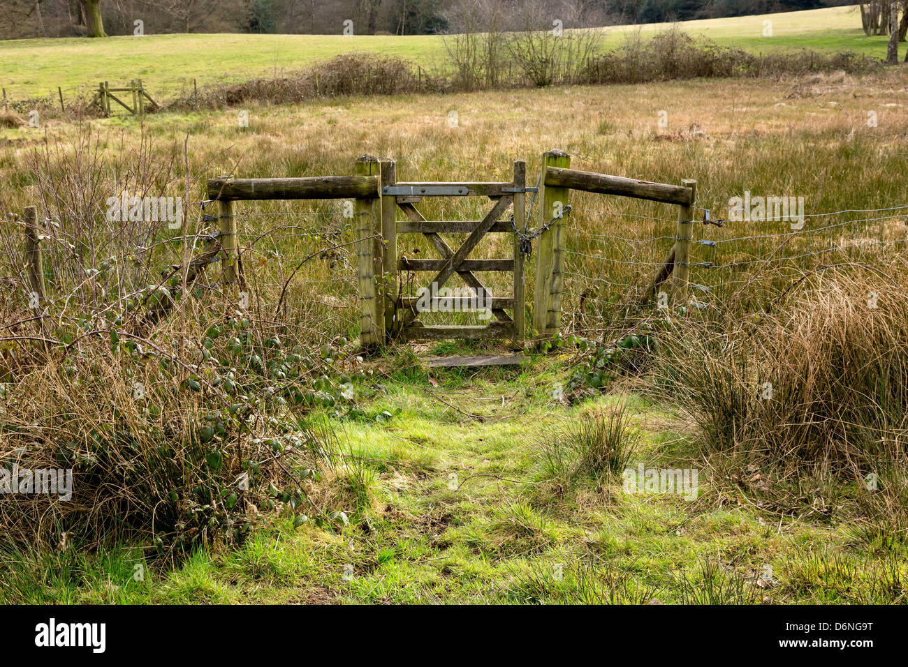 Closed Old Rustic Gate in Green Grassy Countryside on Sunny Day Stock Photo