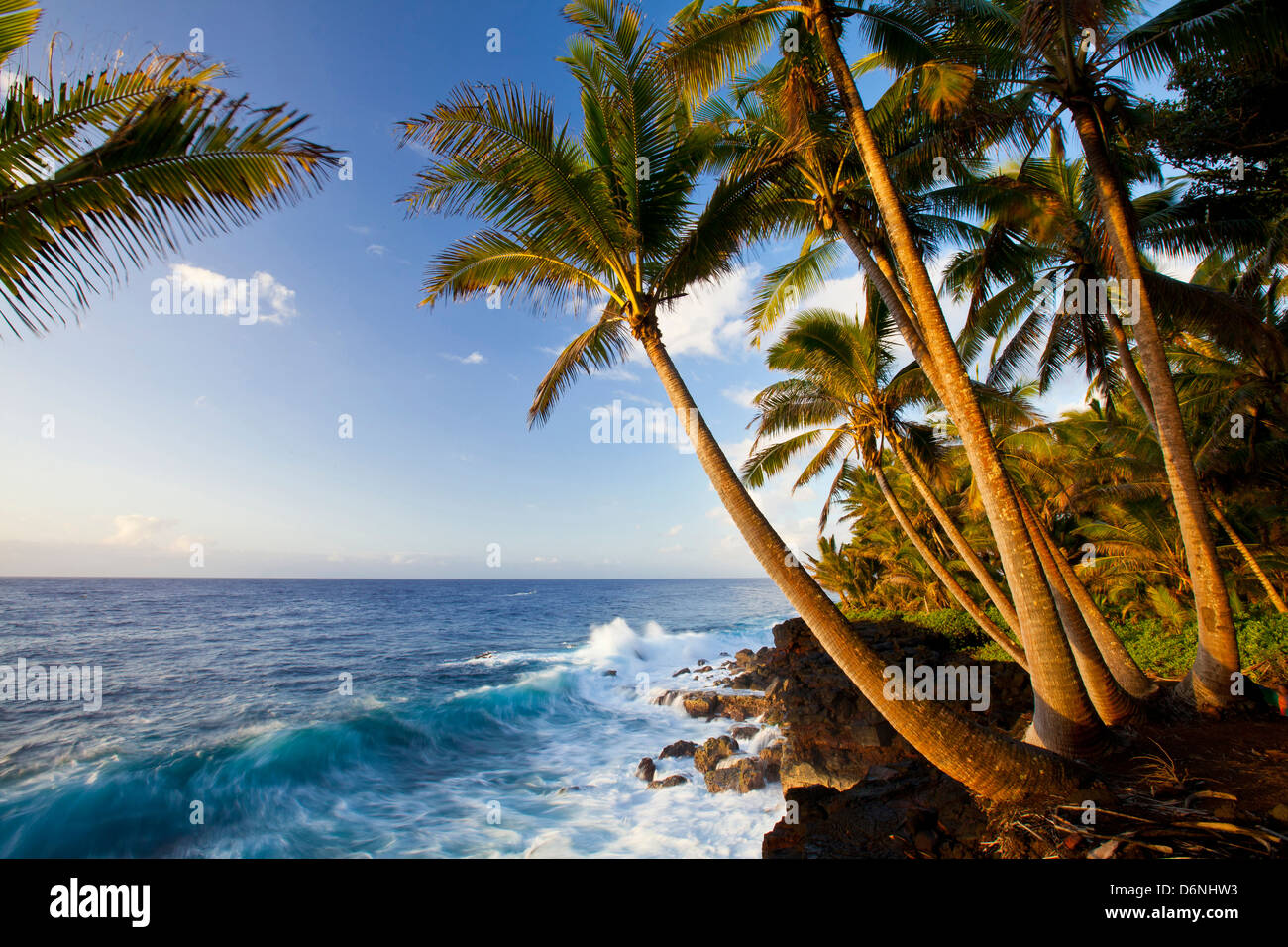 palm trees and ocean view along KalapanaKapono Highway (the "Red Road