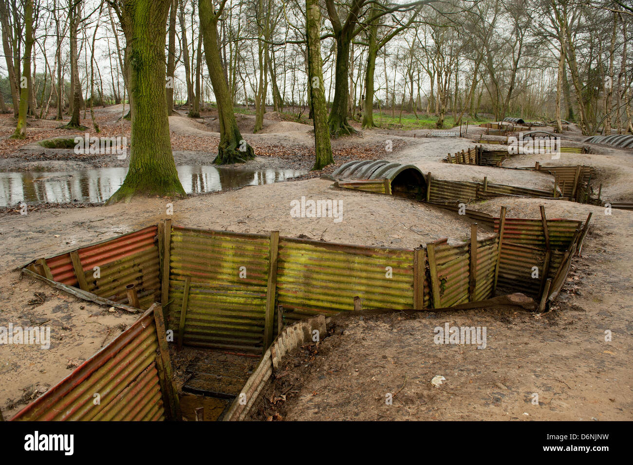 The World War One trench system at Sanctuary Wood near Ypres in Belgium. Stock Photo