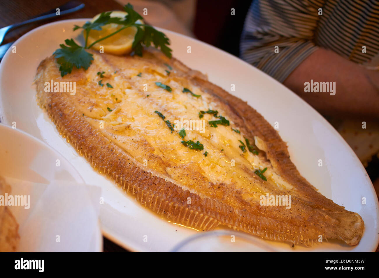 Sea bass served in a restaurant Stock Photo