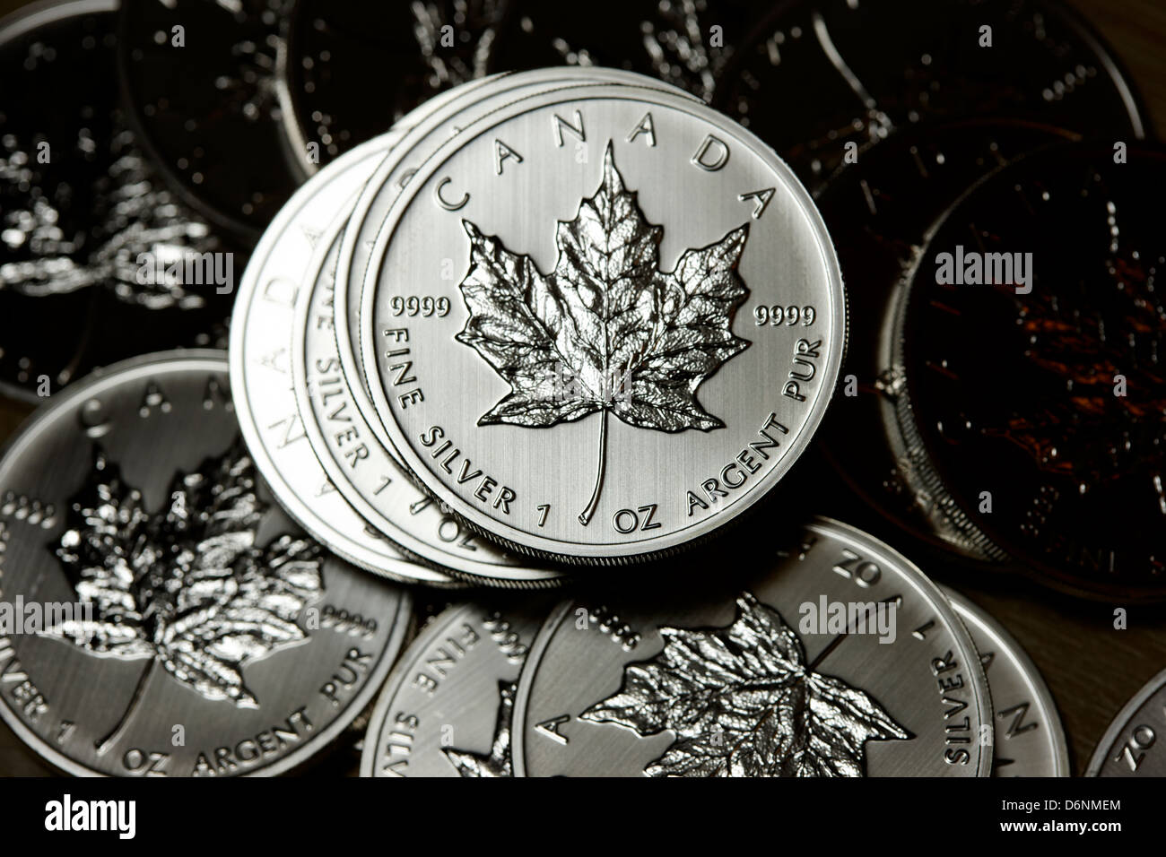 canadian one ounce maple leaf silver coins Stock Photo