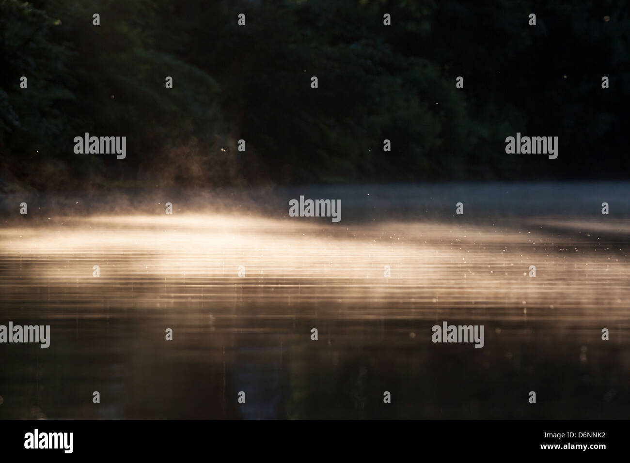 Berlin, Germany, morning mist over the water of the lake Pohle Stock Photo