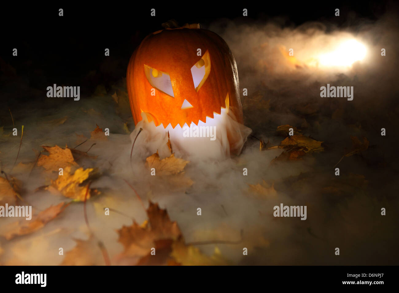Berlin, Germany, carved Pumpkin in the fog Stock Photo