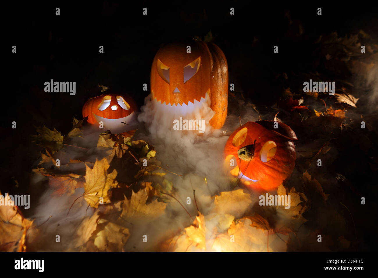 Berlin, Germany, carved pumpkins in the fog Stock Photo