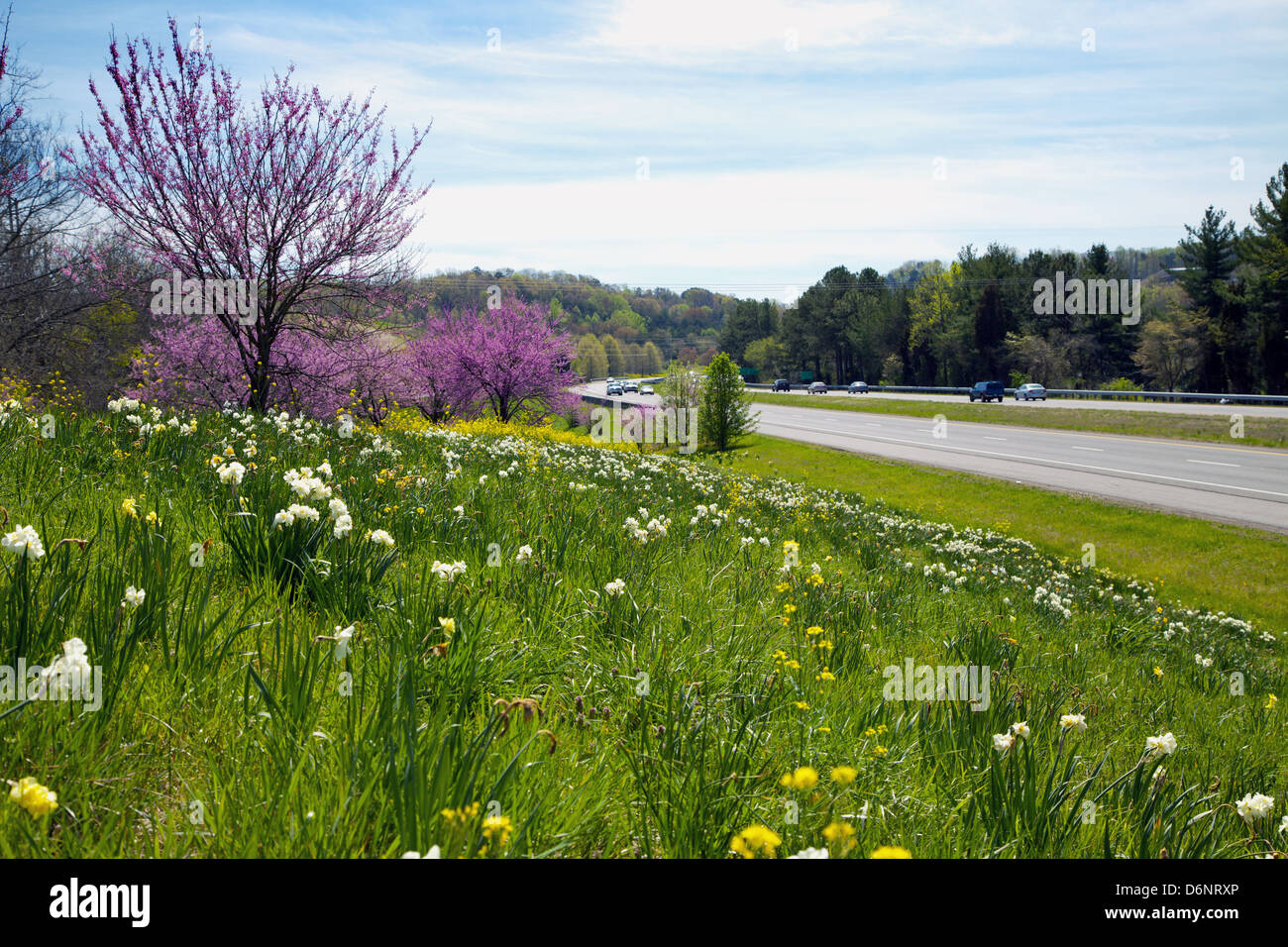 Pellissippi Parkway, Knoxville, Tennessee USA Stock Photo Alamy