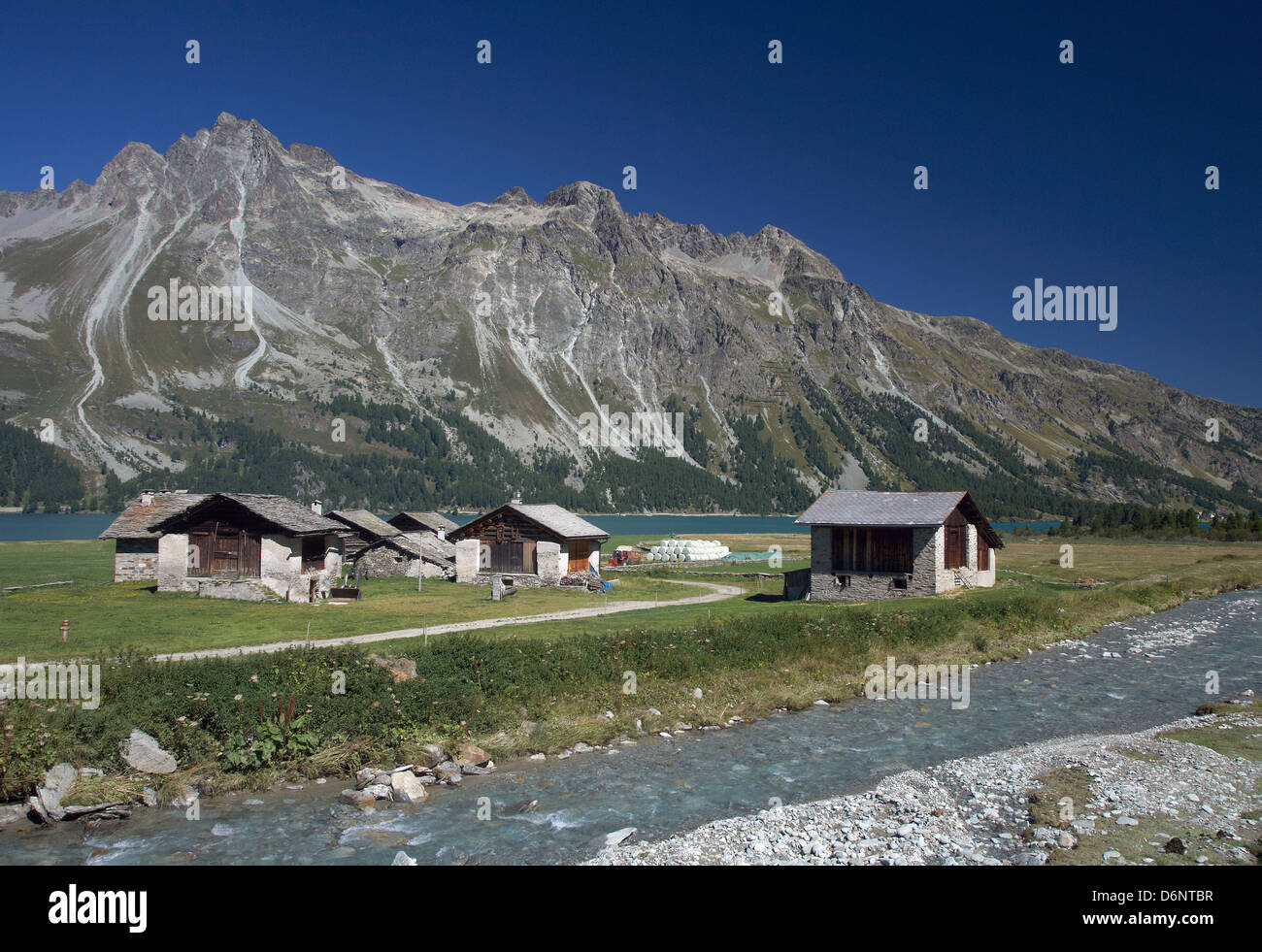 Isola, Switzerland, the small hamlet of Isola on Suedufer of Lake Sils Stock Photo