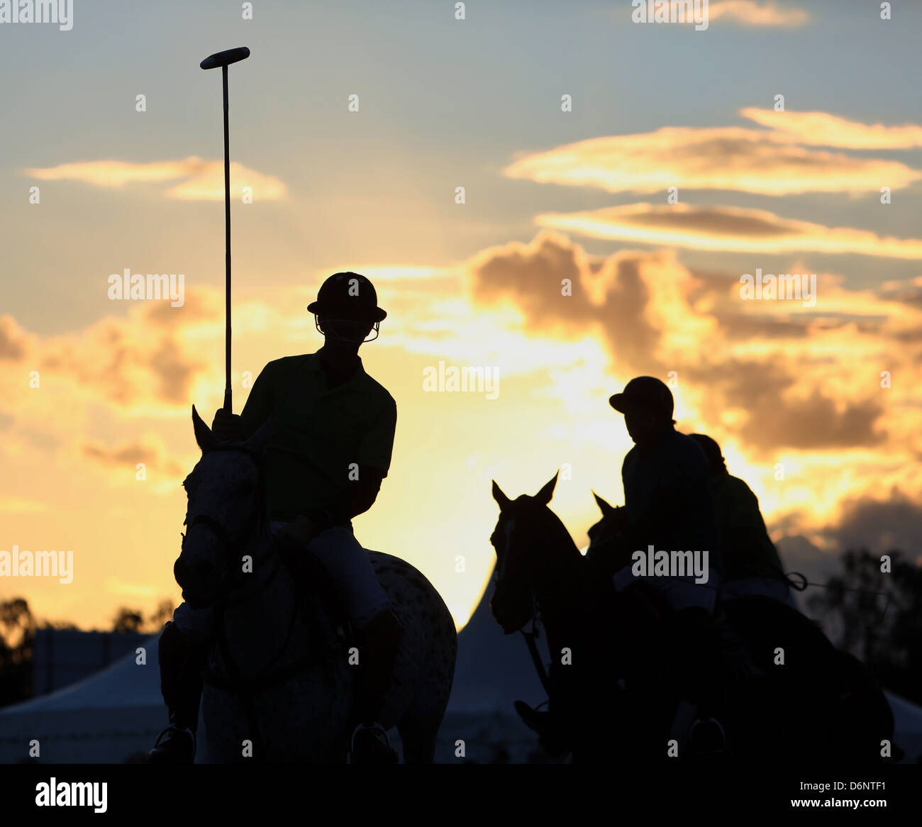 Silhouette polo player hi res stock photography and images Alamy