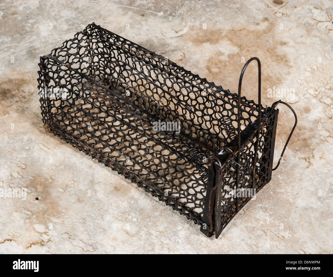 Black Mouse Trap on Dirty Floor Stock Photo