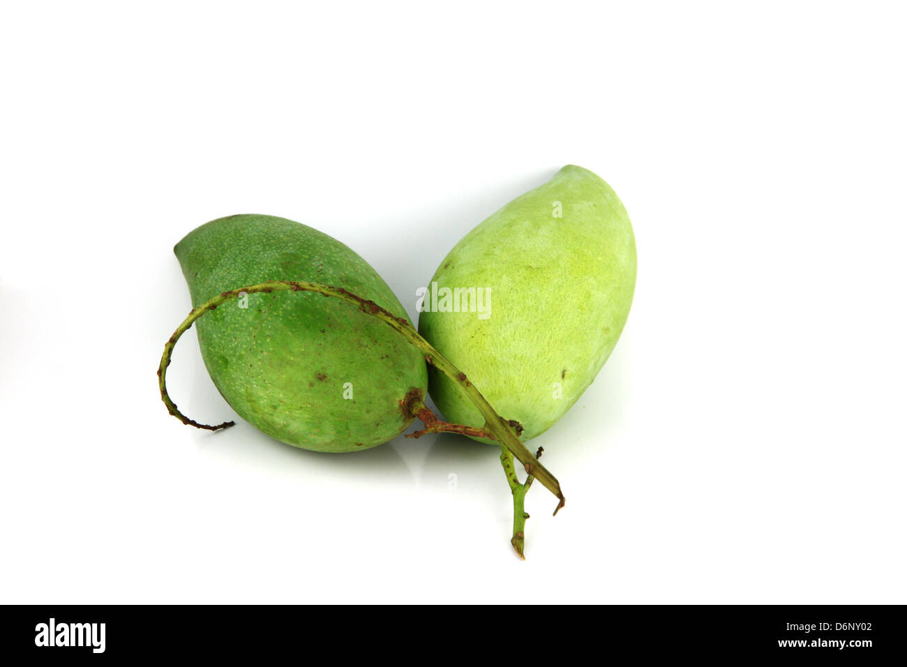 The Ripe mangoes are in the yellow color,on white Background. Stock Photo
