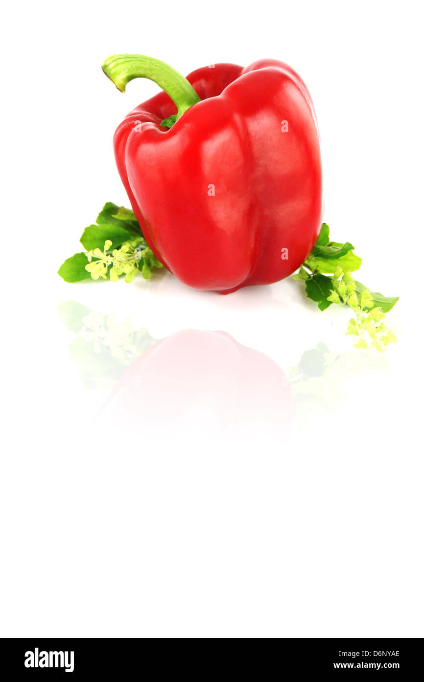 Focus Bell peppers on white Background. Stock Photo