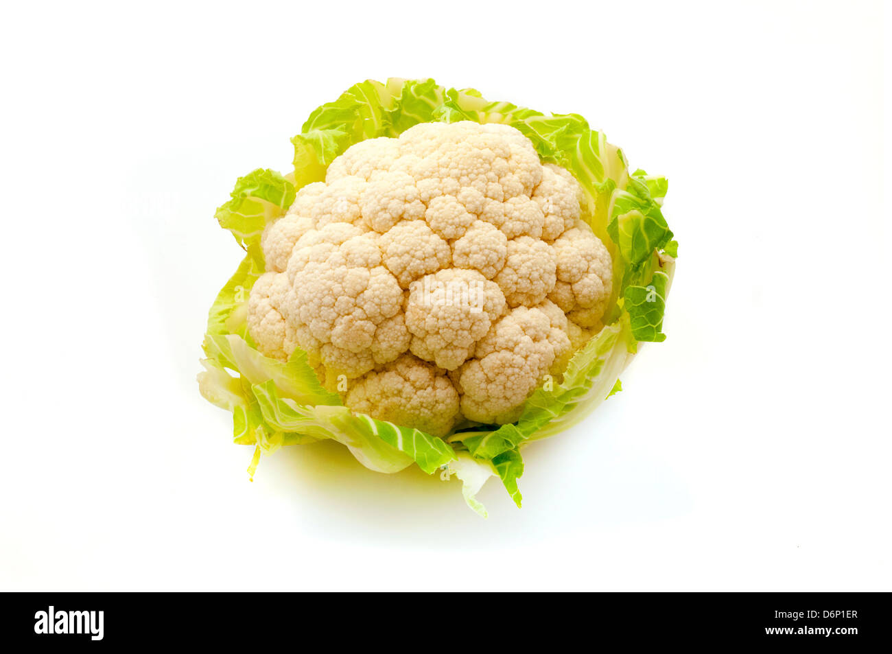 White cauliflower on a white background Stock Photo