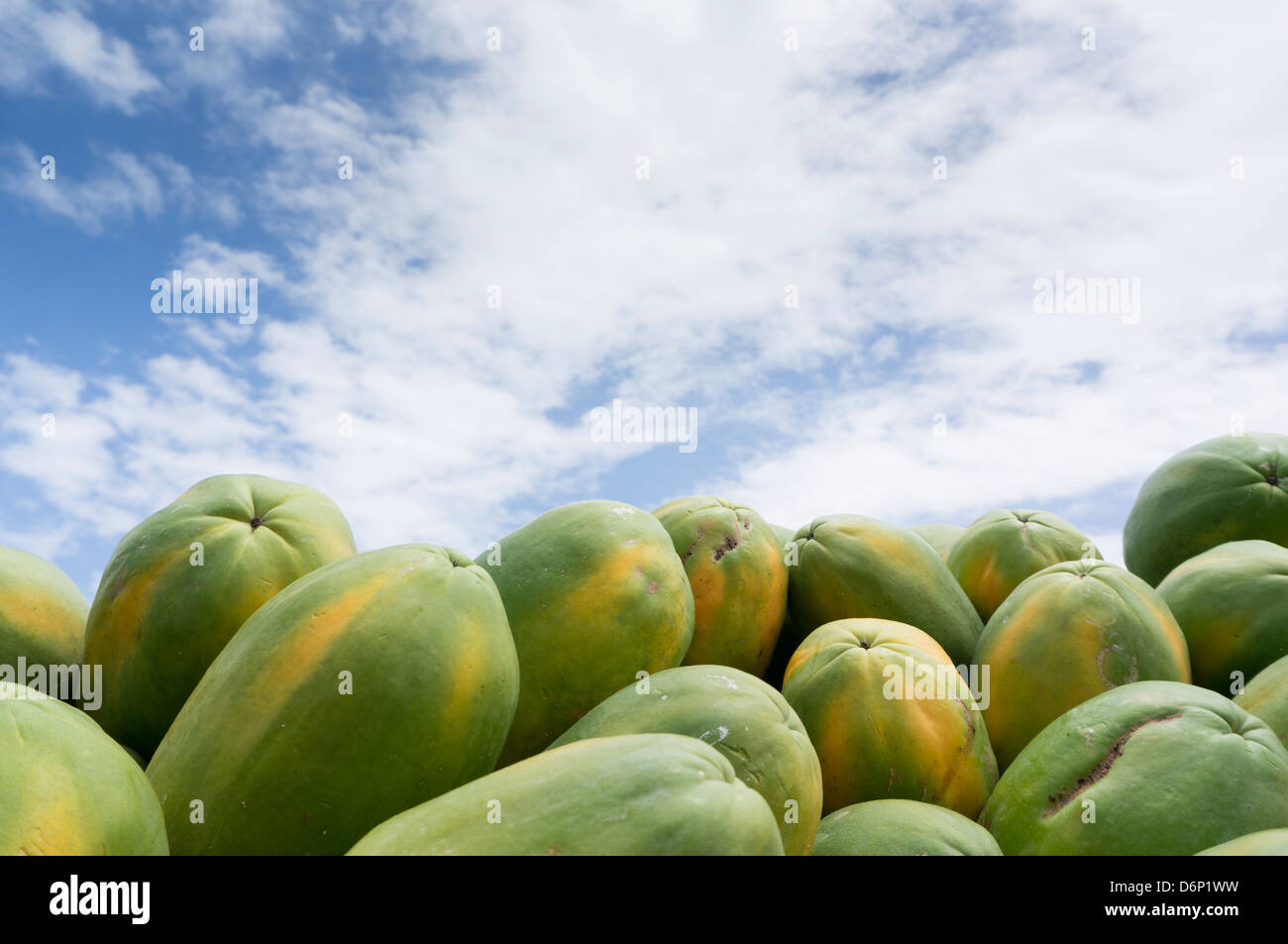 Papaya and blue sky... Stock Photo