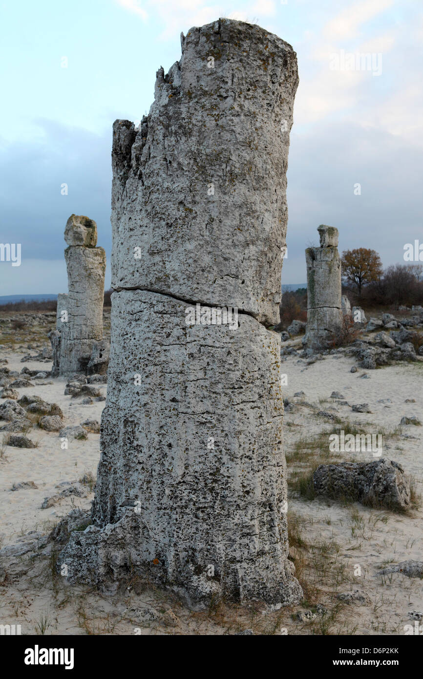 Rock formation at the 50 million year old Stone Forest (Pobiti Kamani ...