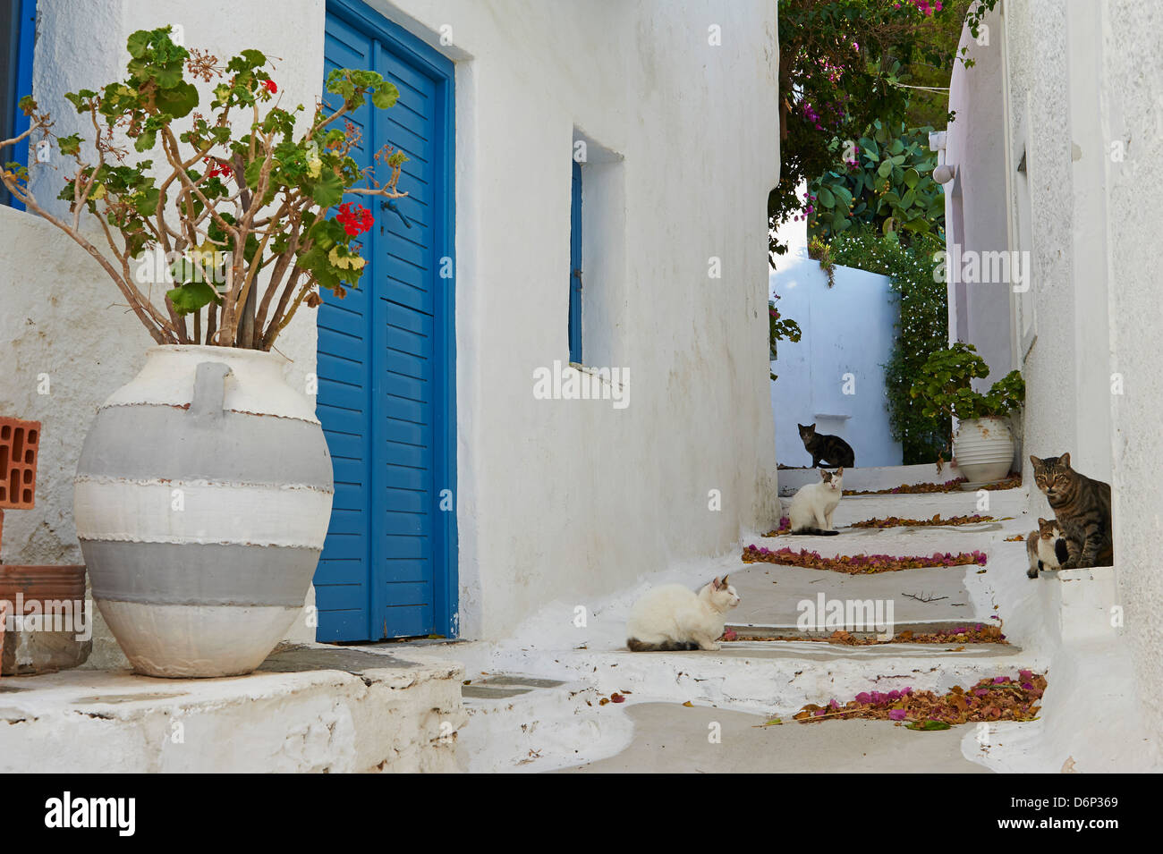 Hora, Serifos Island, Cyclades, Greek Islands, Greece, Europe Stock Photo