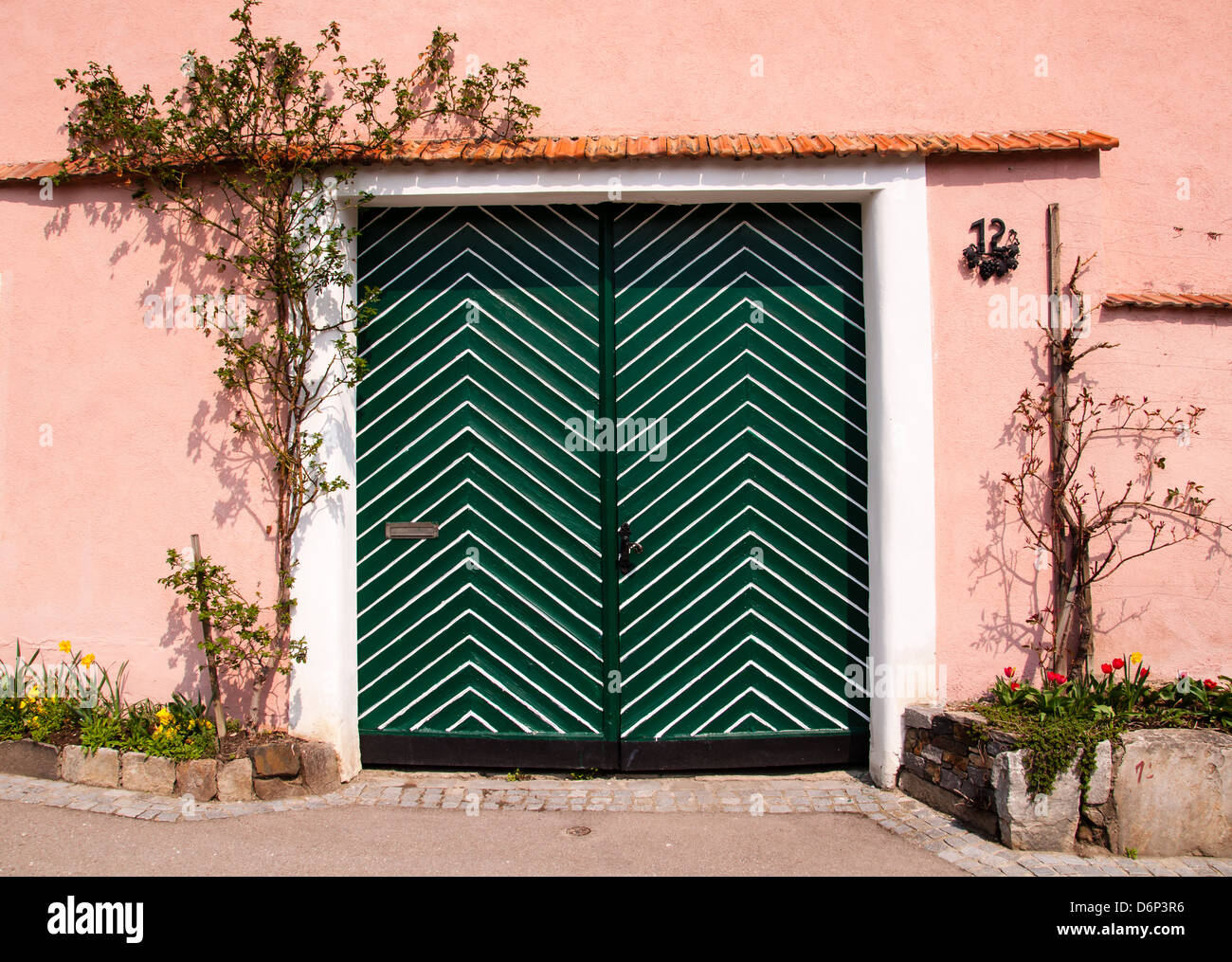 green wooden door in a pink wall with vines Stock Photo