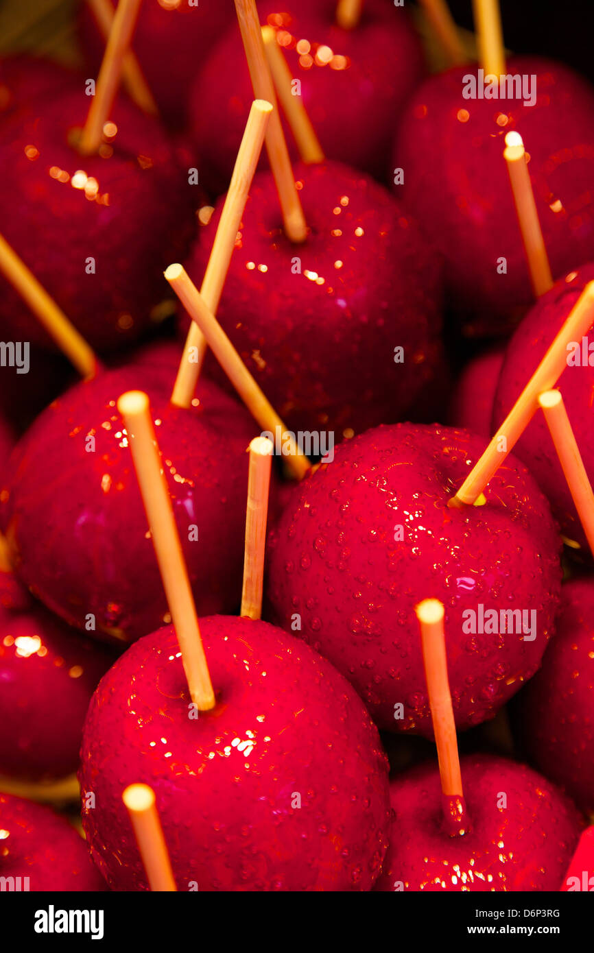 Toffee apples, Christmas Market, Dortmund, North Rhine-Westphalia, Germany, Europe Stock Photo