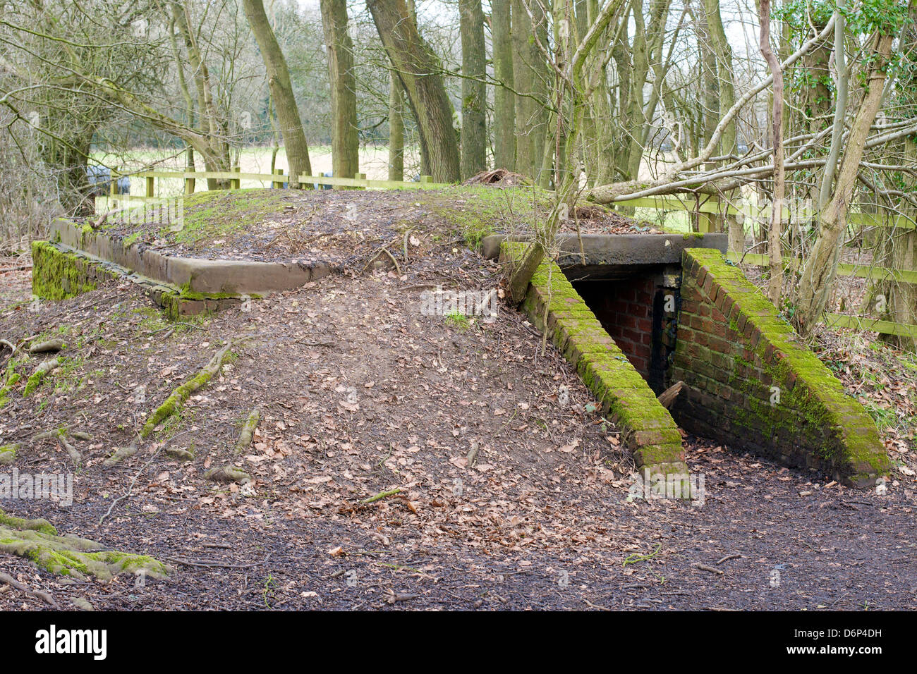 A military bunker Pillbox hidden in the undergrowth on Reigate Hill in