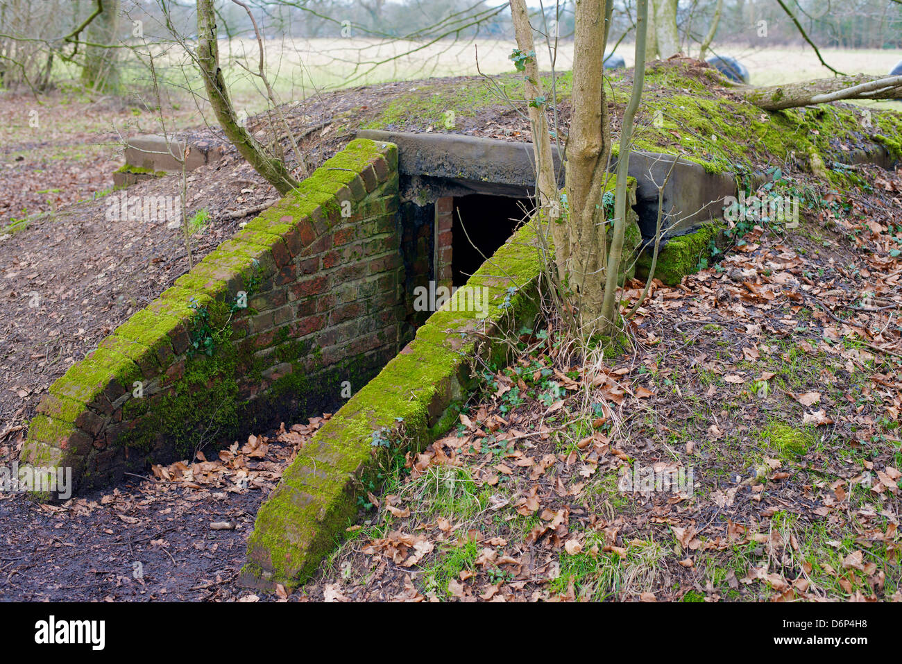 A military bunker Pillbox hidden in the undergrowth on Reigate Hill