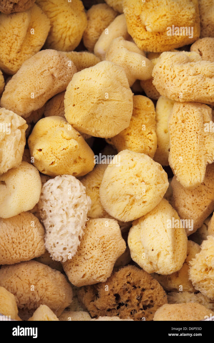 Natural sponges for sale in a pharmacy Stock Photo Alamy