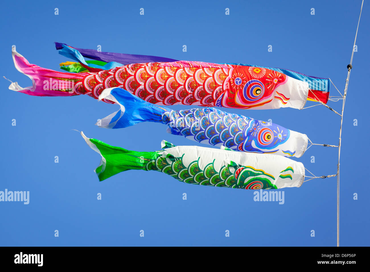 Colourful carp streamers or Koinobori flutter in the wind. Stock Photo