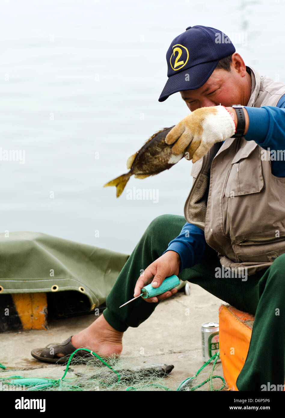 Fisherman preparing fish for sale after getting to the port, Taiwan, Chimei, Stock Photo
