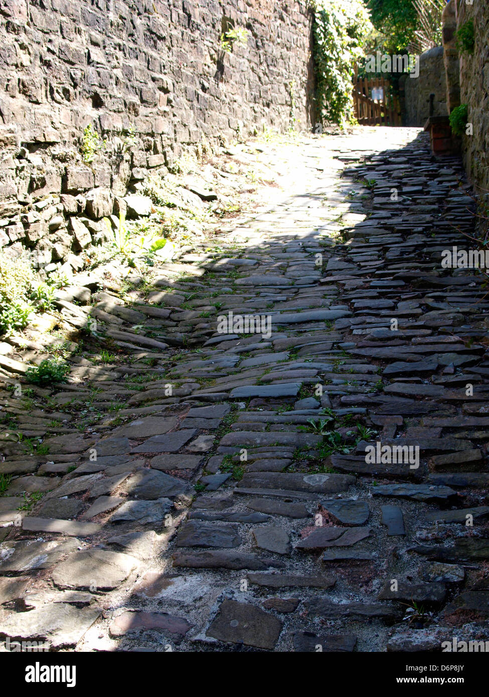 Cobbled Lane, Bideford, Devon, UK 2013 Stock Photo