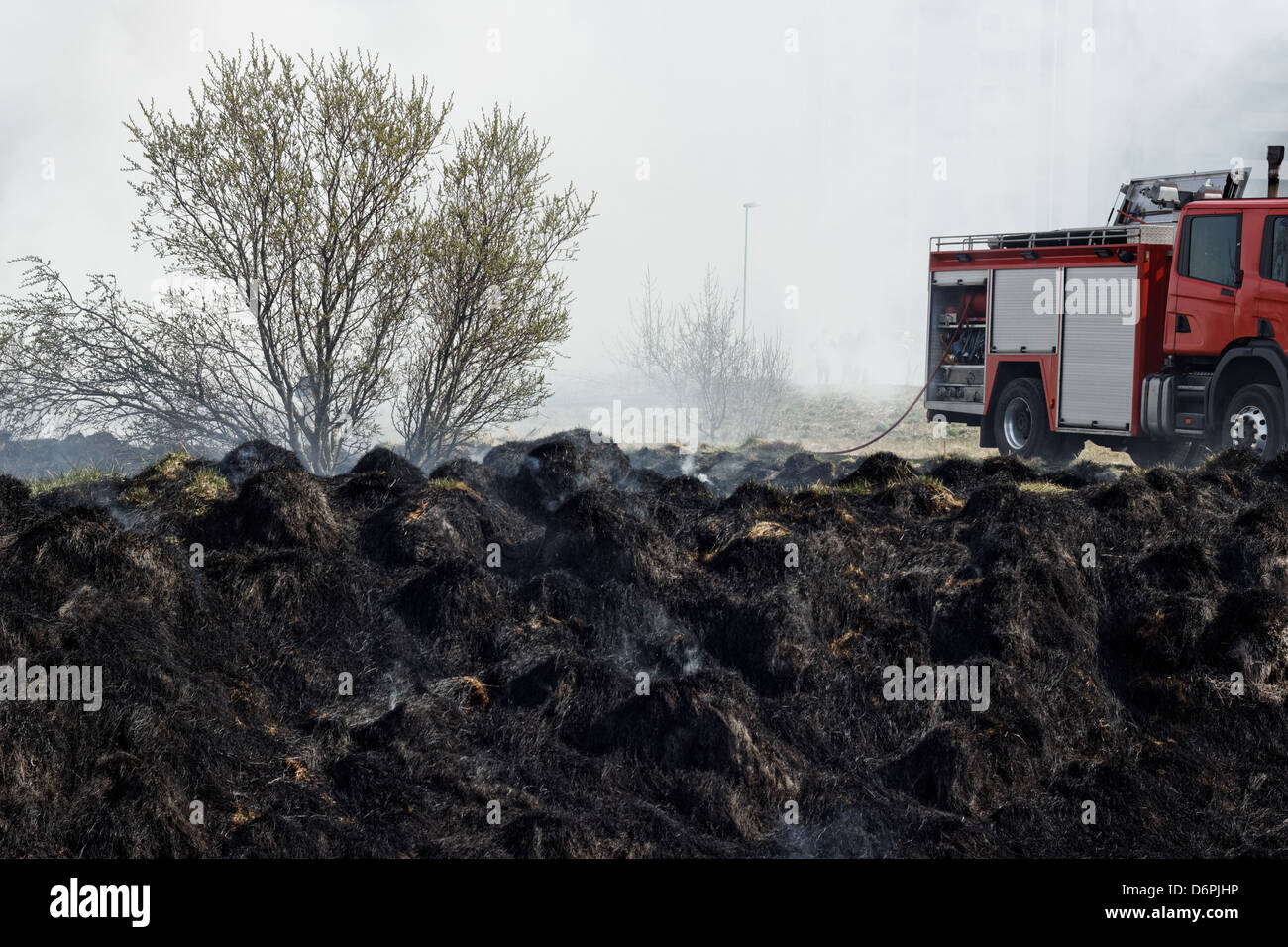 Black and gray grass residues after wildfire. Stock Photo