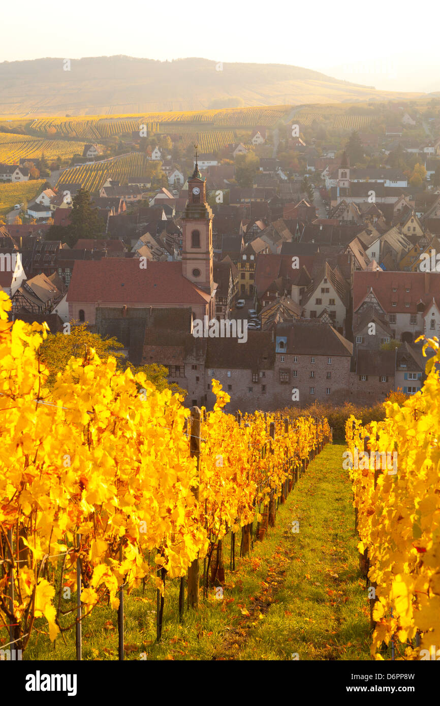 View of Riquewihr and vineyards in autumn, Riquewihr, Alsace, France, Europe Stock Photo