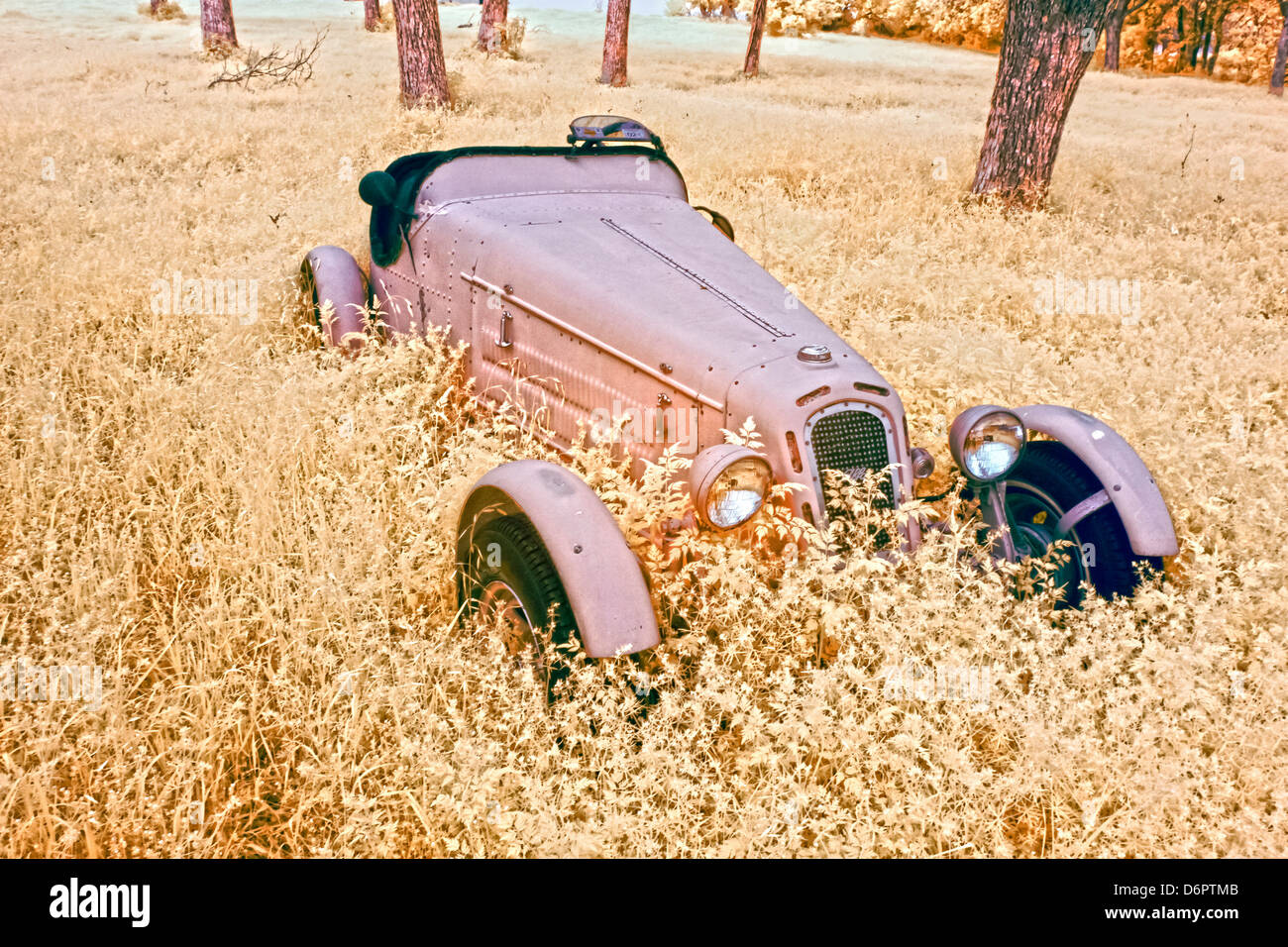 Old car rusting away in a field, New York State, USA Stock Photo - Alamy