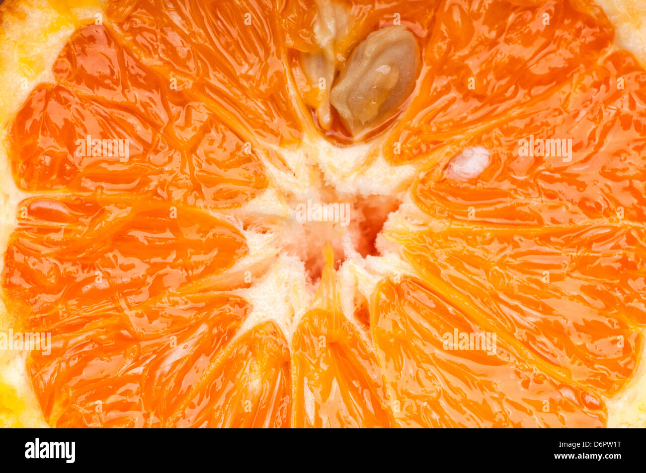 Close up of orange slice hi-res stock photography and images - Alamy