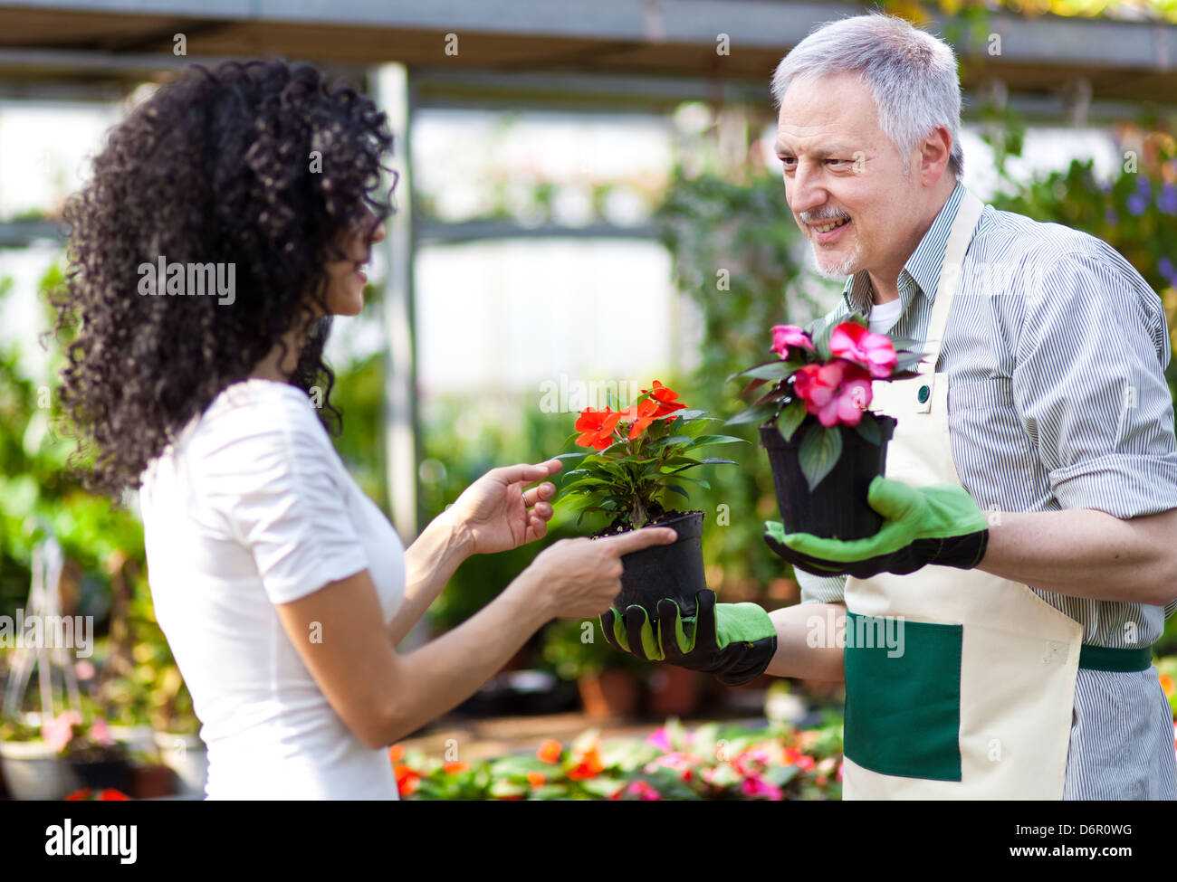 Portrait of a greenhouse worker talking to a customer Stock Photo Alamy