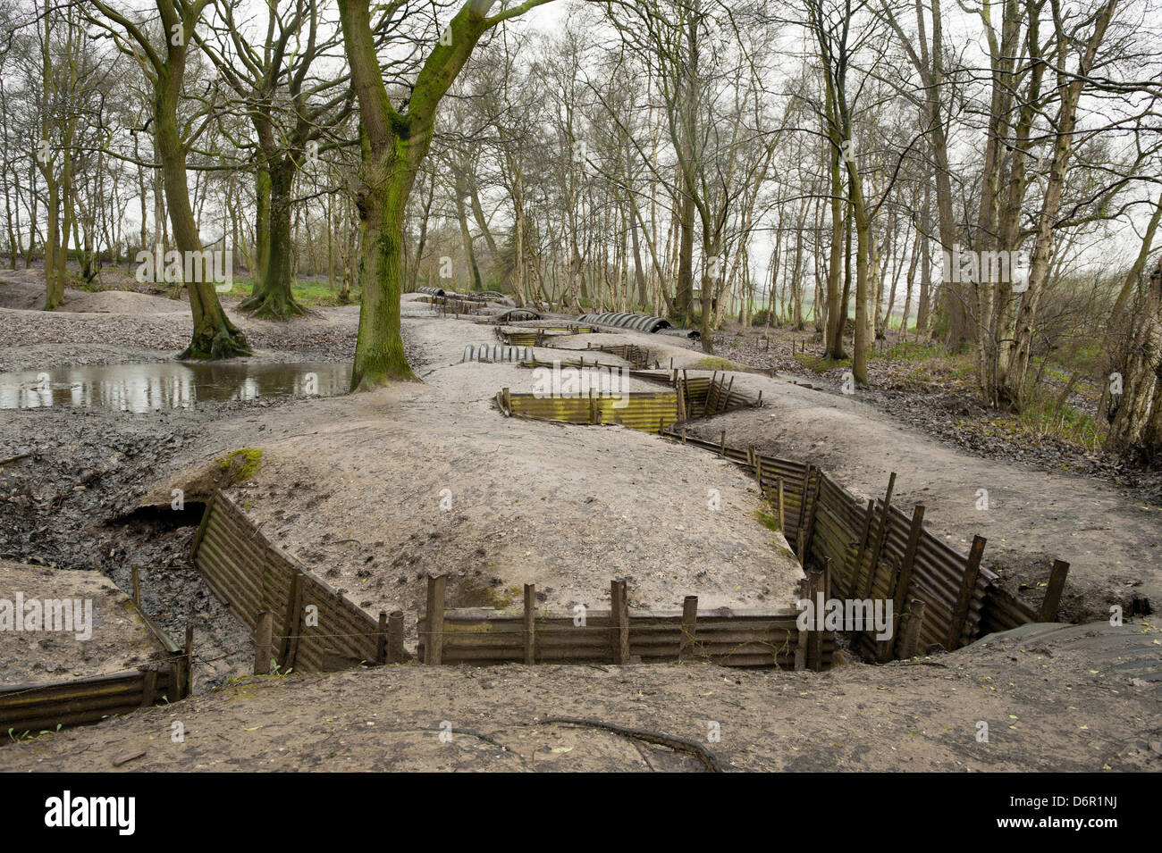 The World War One trench system at Sanctuary Wood near Ypres in Belgium. Stock Photo