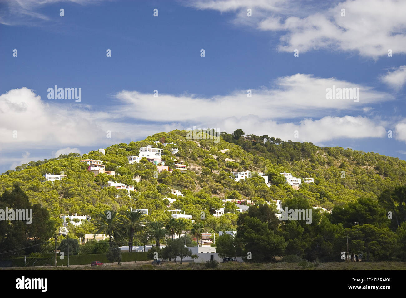 Nature of Ibiza, Spain Stock Photo - Alamy