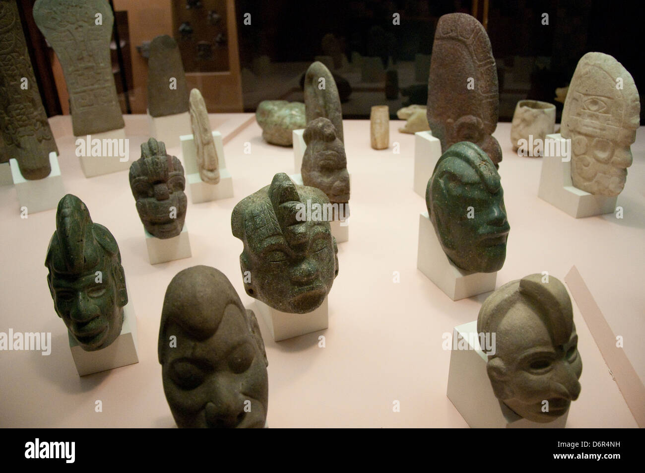 An exhibit in the Cultural Halls of the American Museum of Natural History, New York USA Stock Photo