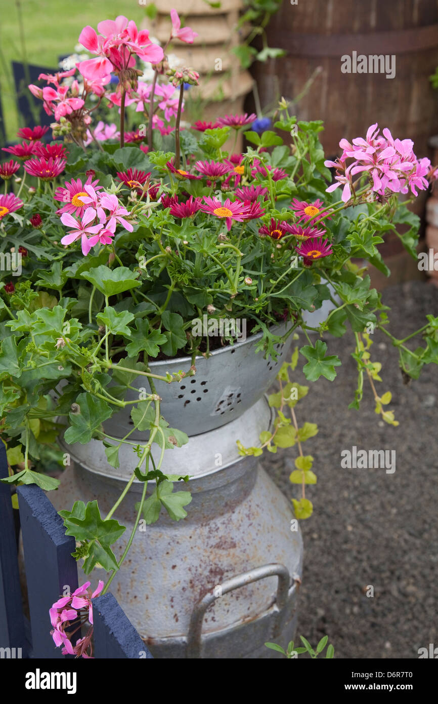 Country garden with potted flowers Stock Photo