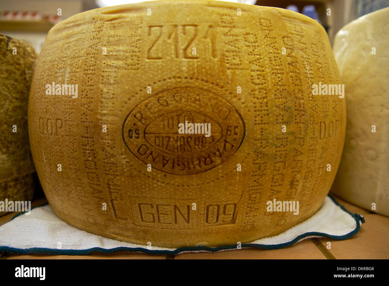 A wheel of Parmigiano Reggiano cheese. Stock Photo