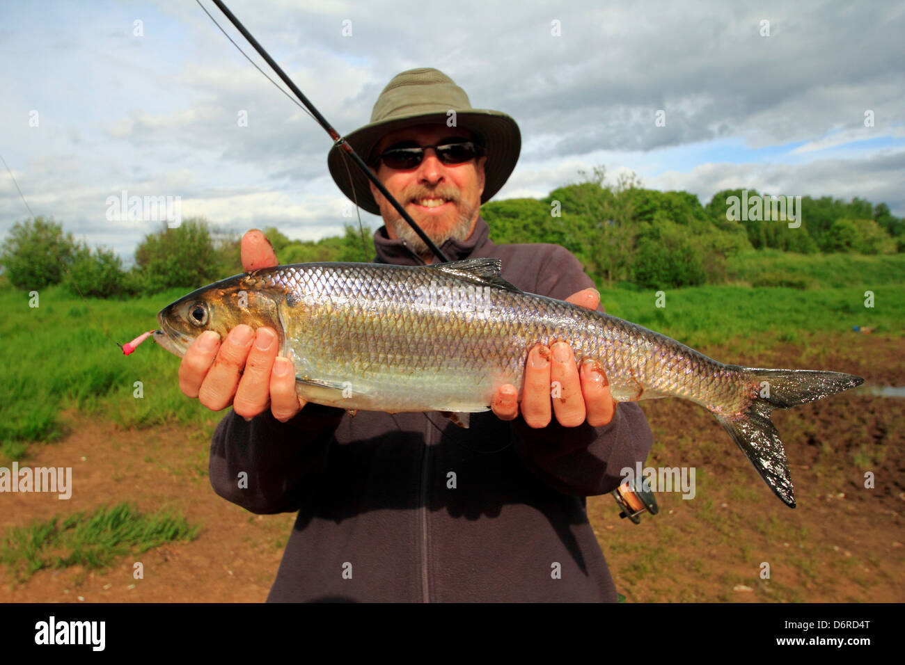 Canada, Nova Scotia, Fisherman with shad fish Stock Photo Alamy
