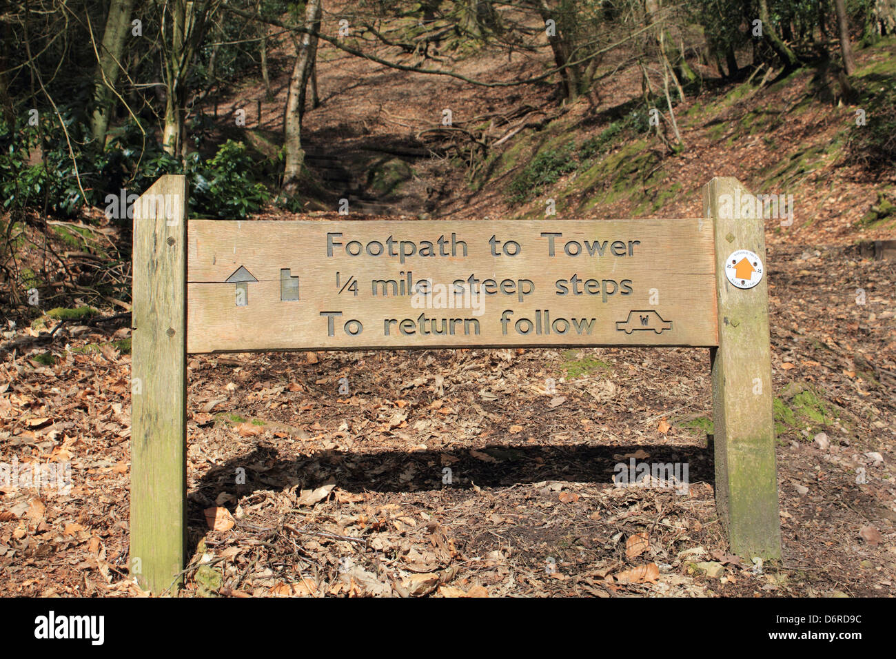 Leith Hill Tower near Dorking Surrey England UK Stock Photo Alamy